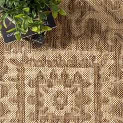 NuLOOM New Arrivals Lane Elegant Medallion Indoor/Outdoor Area Rug