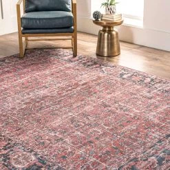 NuLOOM Katie Machine Washable Distressed Bordered Area Rug