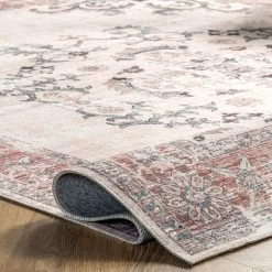 NuLOOM Layna Machine Washable Distressed Vintage Area Rug