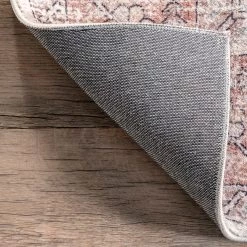 NuLOOM Parisa Vintage Medallion Bordered Area Rug New Arrivals