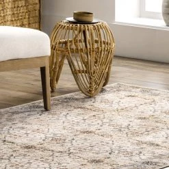 NuLOOM Kimora Washable Vintage Area Rug New Arrivals