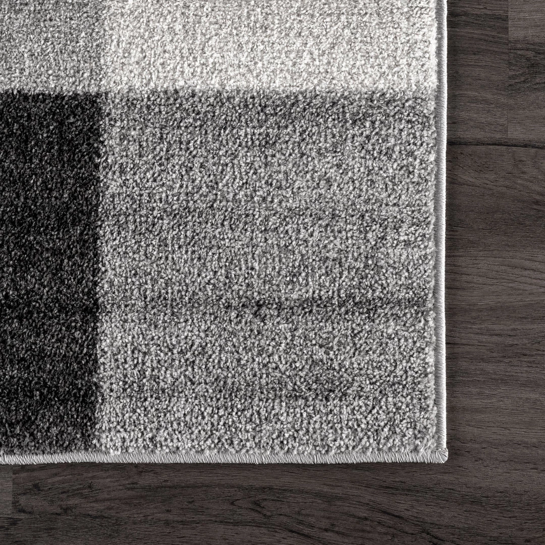 NuLOOM Aisha Buffalo Plaid Area Rug New Arrivals 5 NuLOOM Aisha Buffalo Plaid Area Rug New Arrivals