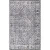 NuLOOM New Arrivals Vintage Medallion Doris Area Rug