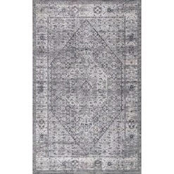 NuLOOM New Arrivals Vintage Medallion Doris Area Rug