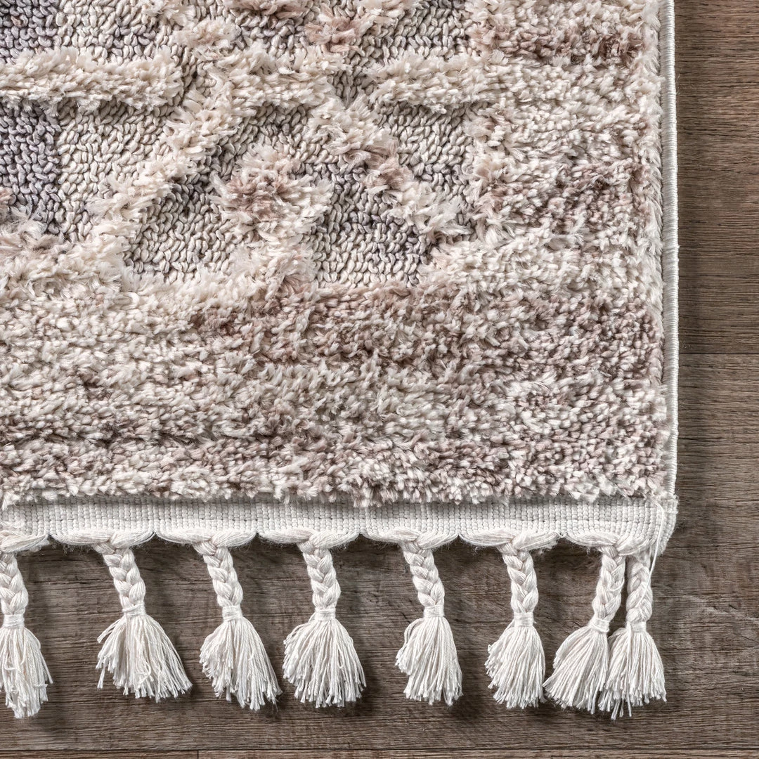 NuLOOM New Arrivals Modern Shaggy Sorolla Area Rug 5 NuLOOM New Arrivals Modern Shaggy Sorolla Area Rug